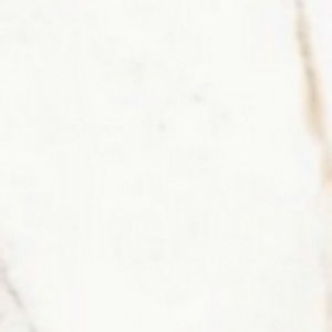 Meet your Posher, Lily